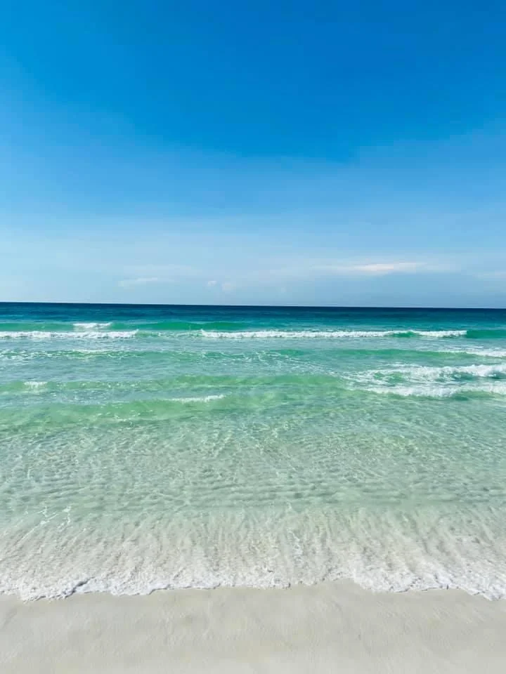 Seaz the Day - Maravilla 3404